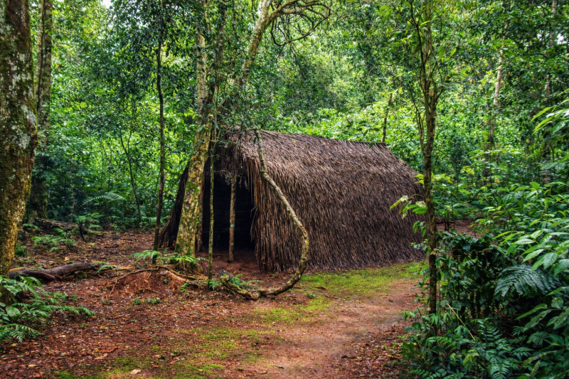 Visit to the Guarani Village in Fortin Mborore with Brunch from hotels in Brazil