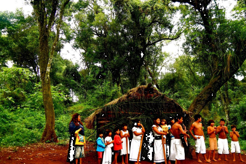 Visit to the Guarani Village in Fortin Mborore with Brunch from hotels in Brazil