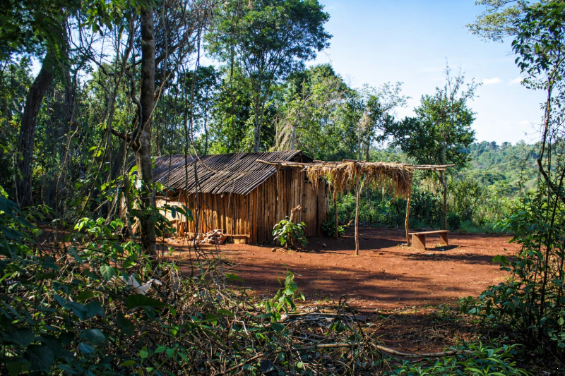 Visit to the Guarani Village in Fortin Mborore with Brunch from hotels in Brazil