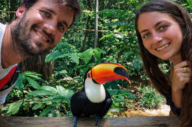 Combo pack: Argentine Falls, Brazilian Falls and Bird Park, with airport transfers