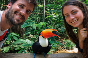 Combo pack: Argentine Falls, Brazilian Falls and Bird Park, with airport transfers
