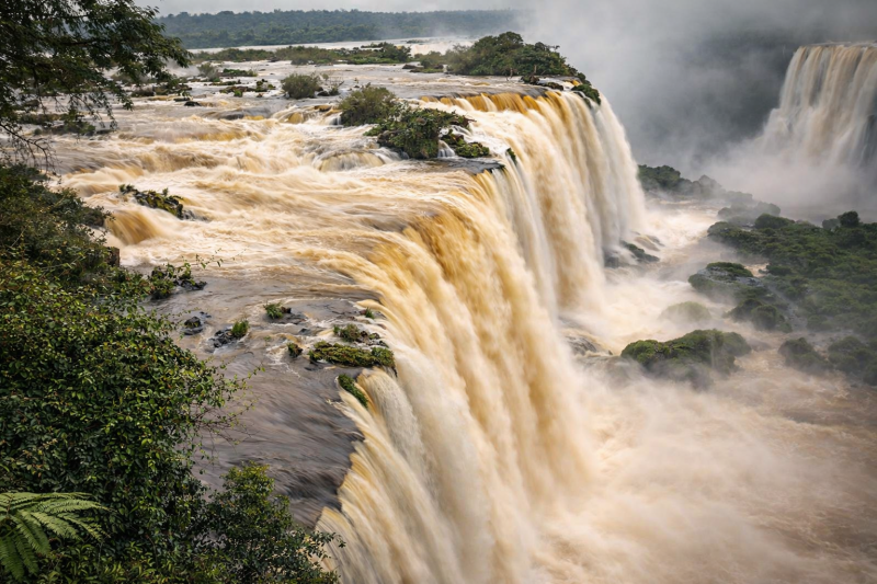 Combo pack: Argentine Falls, Brazilian Falls and Bird Park, with airport transfers