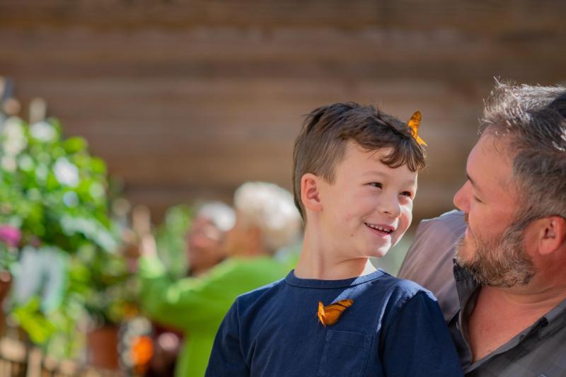 Orlando: Airboat Ride and Gatorland Park Combo