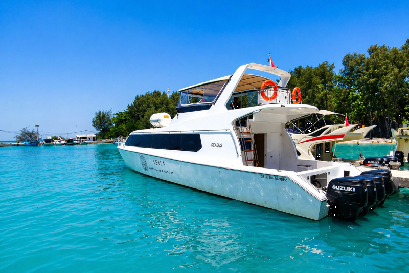 Asha Island speedboat