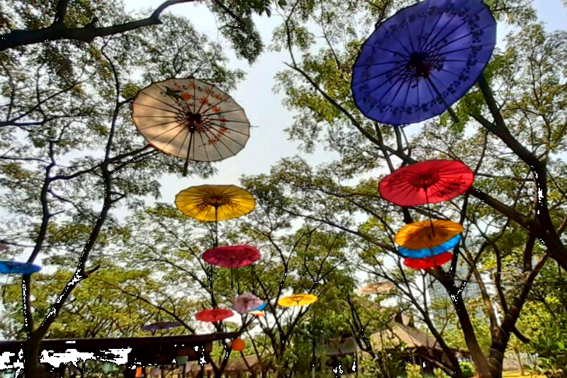 Umbrellas at Mangrove Pantai Indah Kapuk