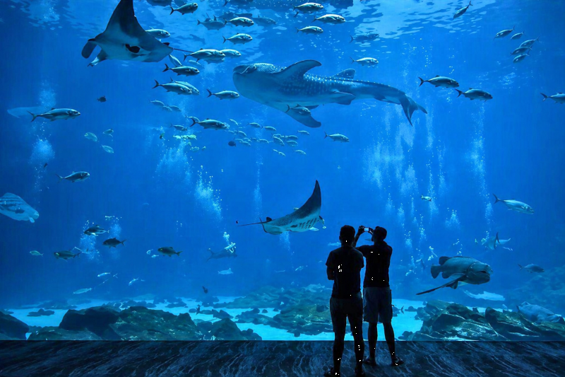 Welcome to the Jakarta Aquarium