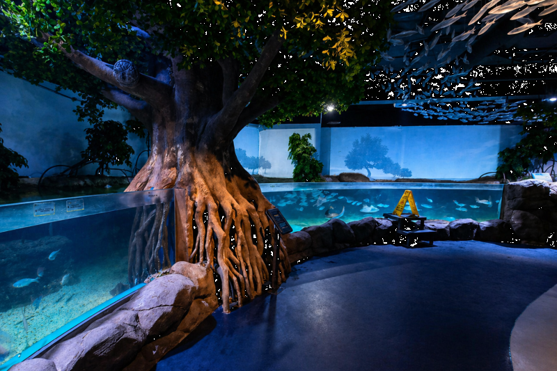 The Jakarta Aquarium