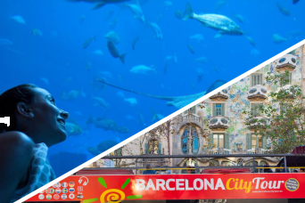 Barcelona City Tour Hop On - Hop Off and Aquarium