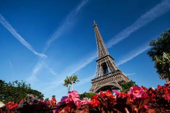 From London: Private Paris Day Tour with Driver Guide