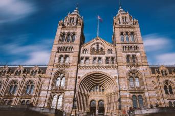 The Natural History Museum Walking Tour