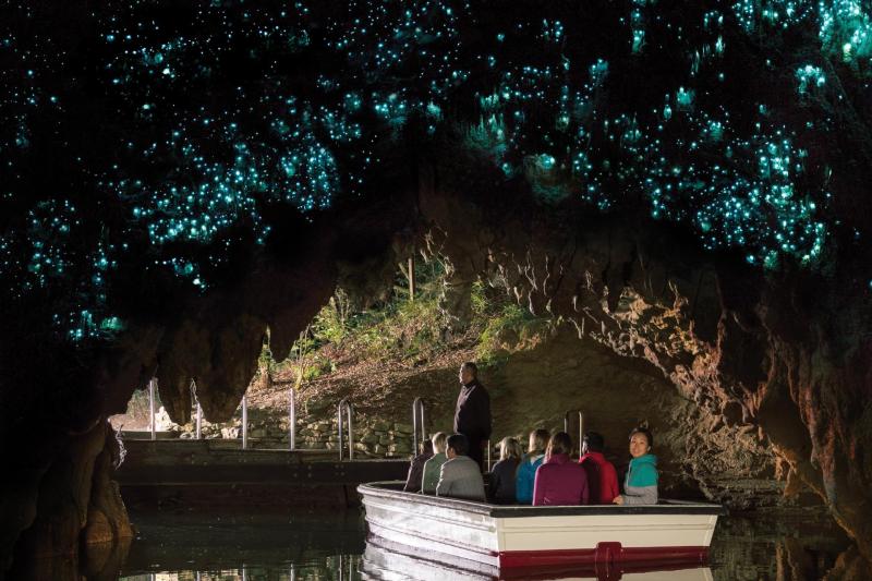 Boat ride through the Glow-worm Grotto
