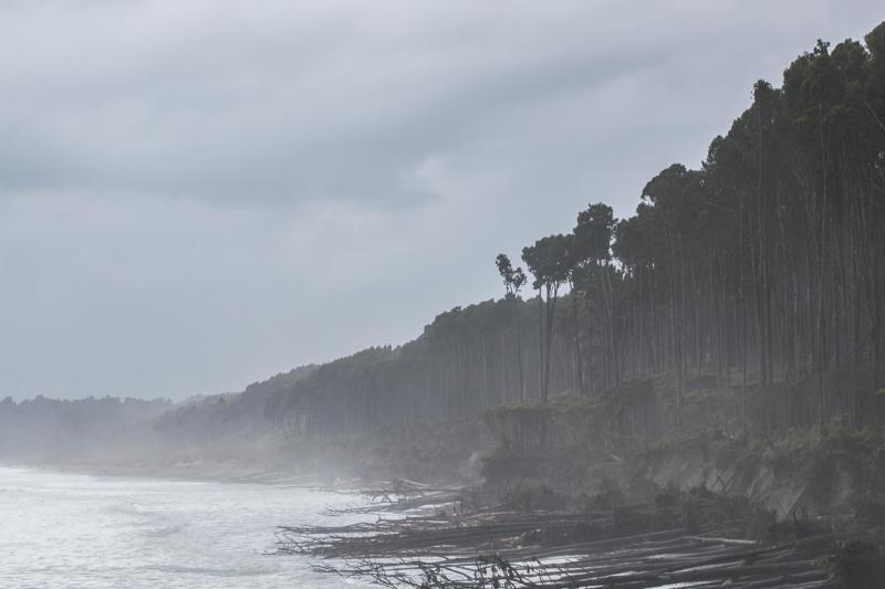 Rugged West Coast of New Zealand