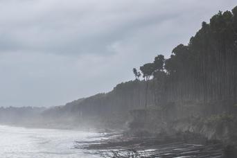 From Fox Glacier: Greymouth Day Tour