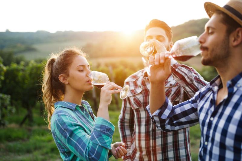 From Bucharest: Discover 2 Romanian Wineries on a Wine Tasting Tour