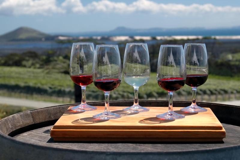 From Bucharest: Discover 2 Romanian Wineries on a Wine Tasting Tour
