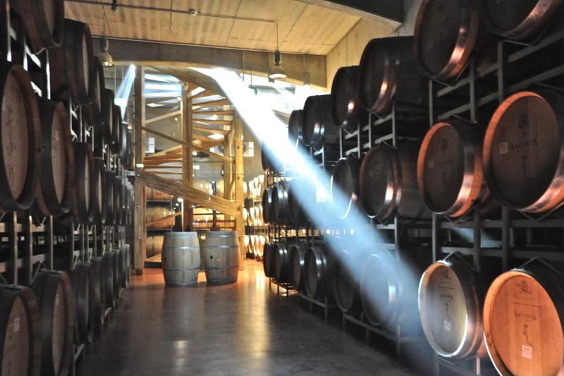 From Bucharest: Discover 2 Romanian Wineries on a Wine Tasting Tour