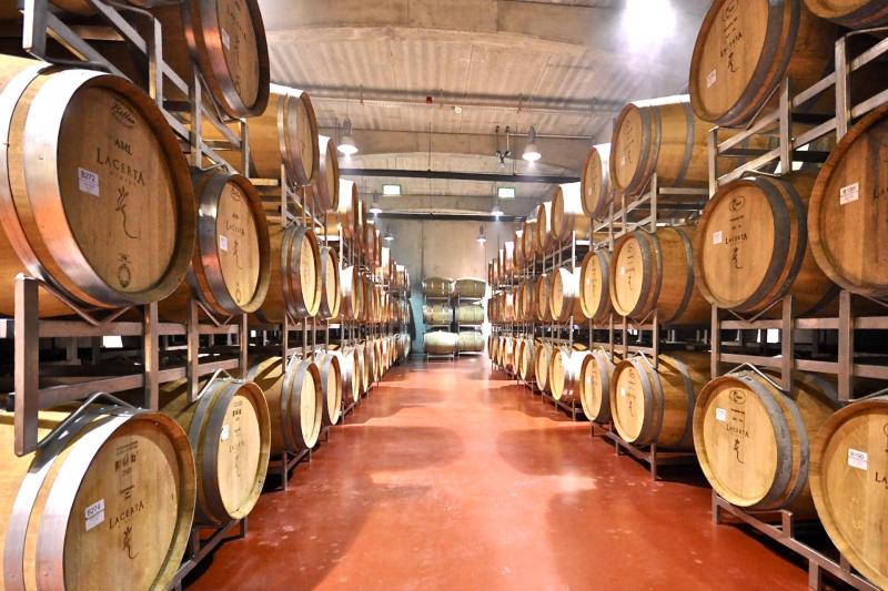From Bucharest: Discover 2 Romanian Wineries on a Wine Tasting Tour