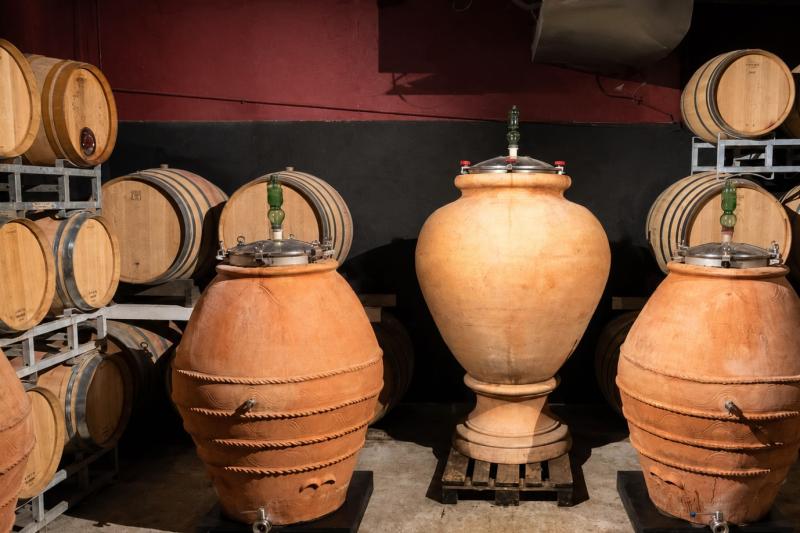 From Florence: Chianti E-Bike Morning Tour with Wine Tasting & Light Lunch