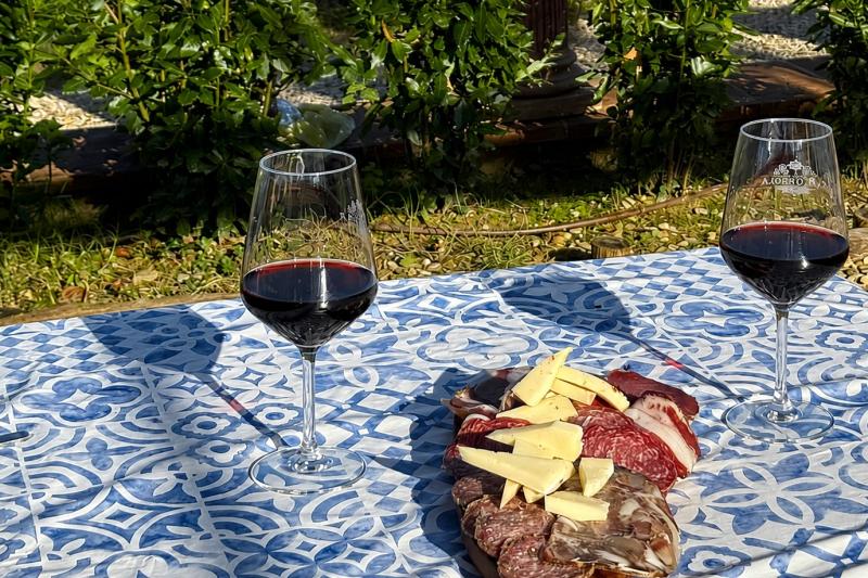 From Florence: Chianti E-Bike Morning Tour with Wine Tasting & Light Lunch