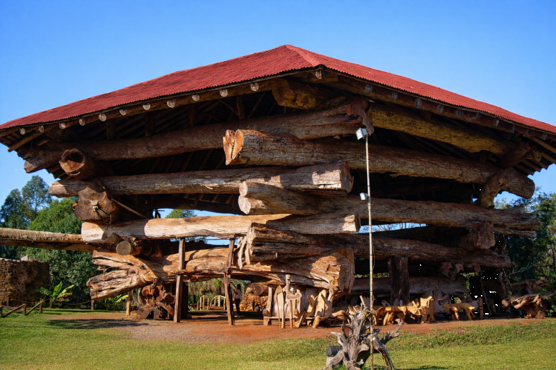 City Tour Iguazú: Nature, Culture and Views, from hotels in Foz de Iguaçu, Brazil