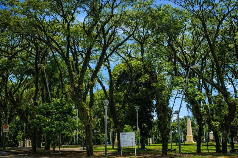 City Tour Iguazú: Nature, Culture and Views, from hotels in Foz de Iguaçu, Brazil