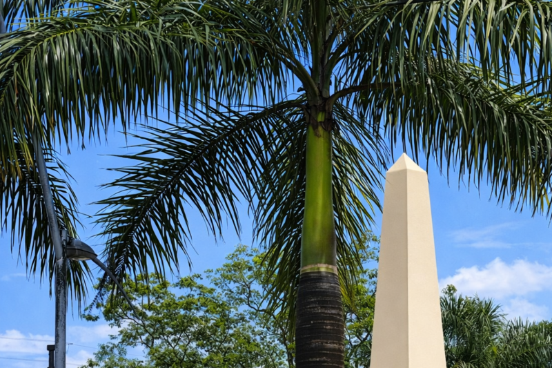 City Tour Iguazú: Nature, Culture and Views, from hotels in Foz de Iguaçu, Brazil