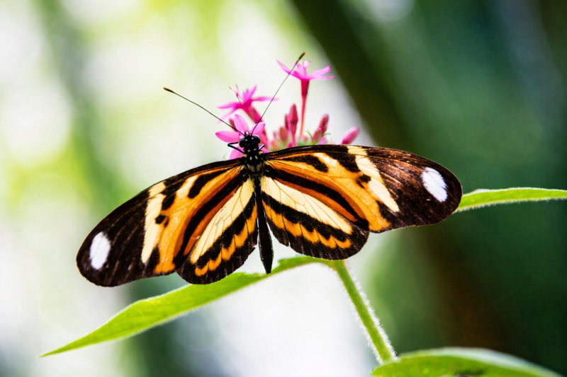 Explore natural diversity at the Iguazú Biocenter from hotels in Brazil