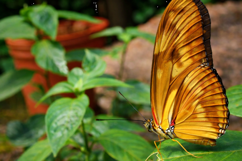 Explore natural diversity at the Iguazú Biocenter from hotels in Brazil