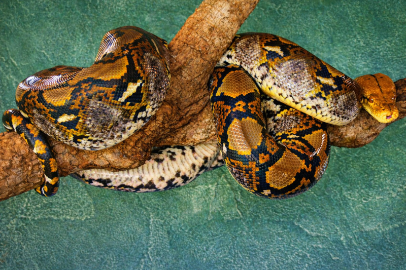 Explore natural diversity at the Iguazú Biocenter from hotels in Brazil