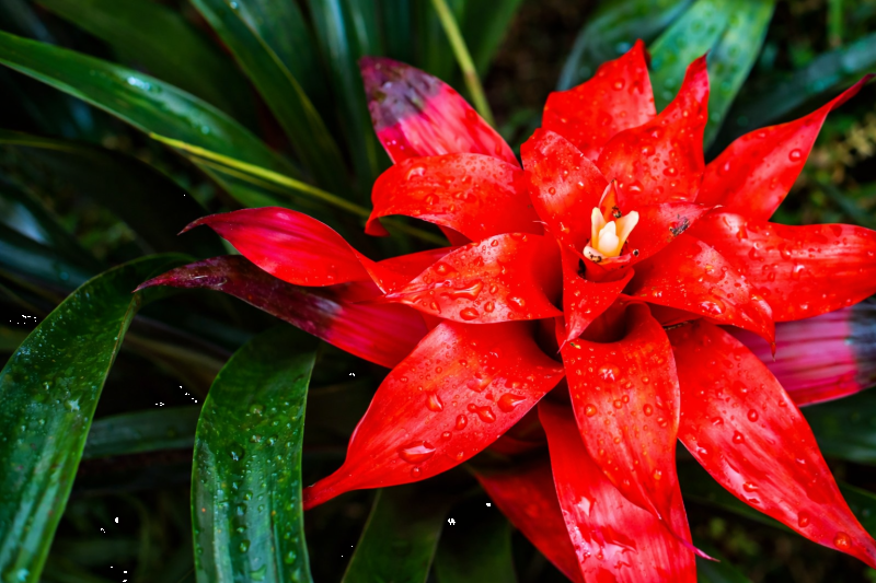 Explore natural diversity at the Iguazú Biocenter from hotels in Brazil