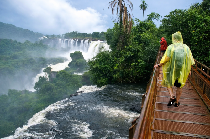 Iguazu: Argentine and Brazilian Falls, and Biocenter with Transfers