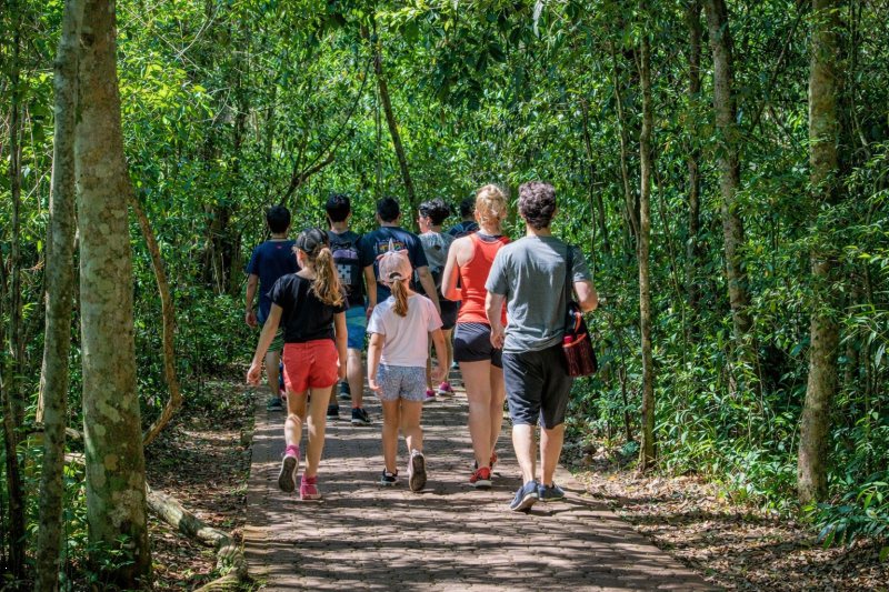 Iguazu: Argentine and Brazilian Falls, and Biocenter with Transfers