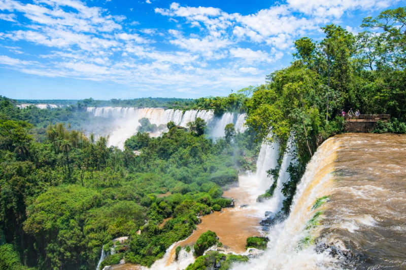 Iguazu: Argentine and Brazilian Falls, and Biocenter with Transfers