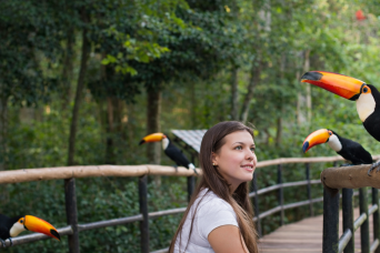 Foz de Iguaçu: Brazilian Falls and Bird Park