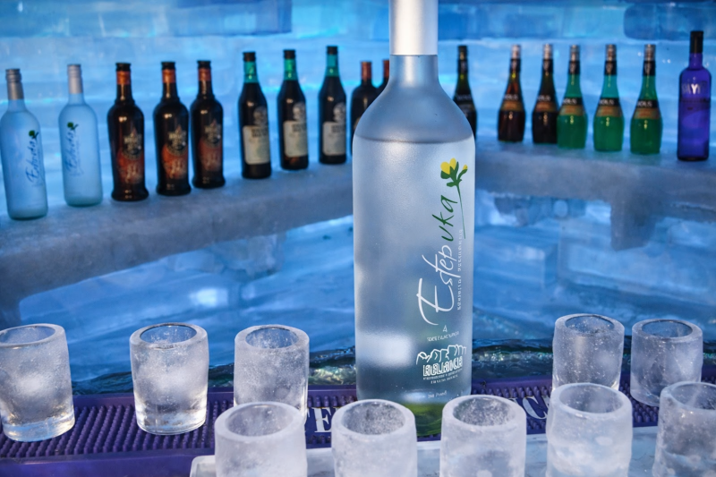 IceBar Iguazú: The Frozen Adventure in the Jungle