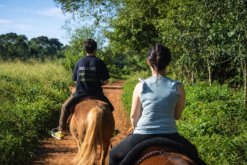 Explore the Jungle on Horseback: A Magical Horseback Riding in Iguazú