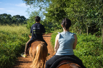 Explore the Jungle on Horseback: A Magical Horseback Riding in Iguazú