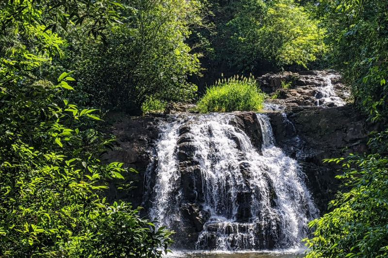 Bike Tour Iguazú: Adventure and Nature in the Missionary Jungle