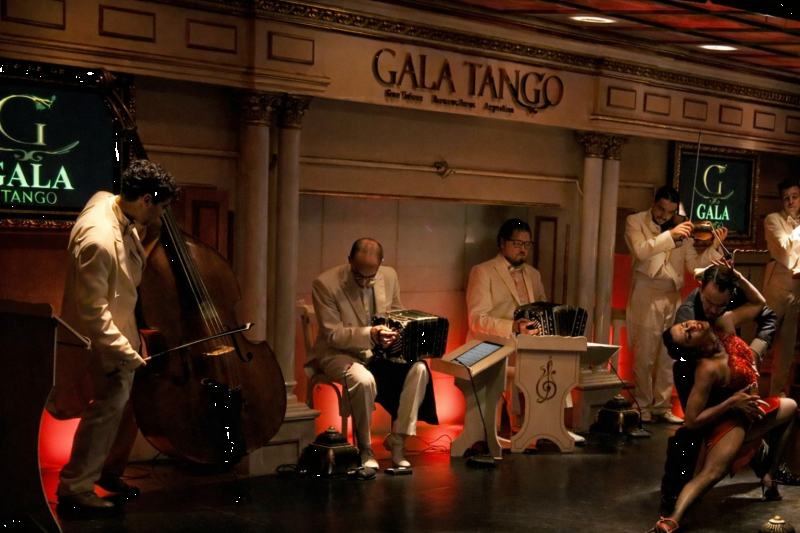 Gourmet Dinner and Tango Show at Gala Tango, with Wine Tasting