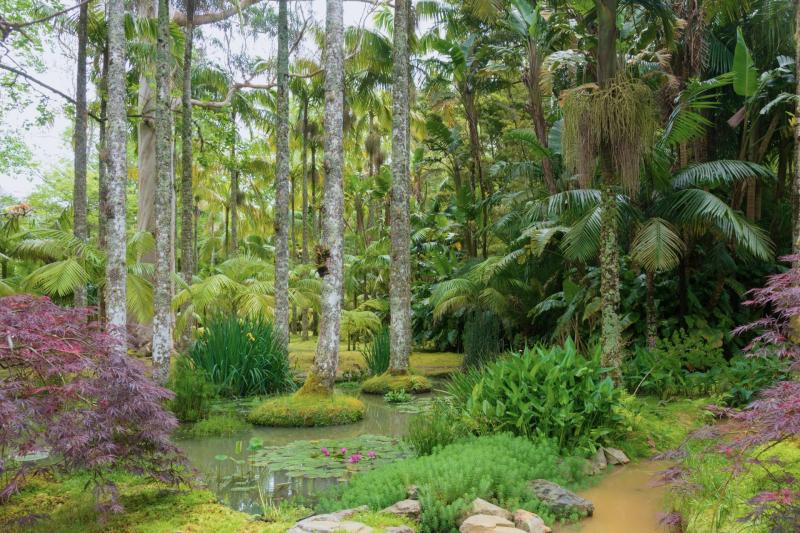 São Miguel, Azores: Furnas Volcano Route Full Day Tour