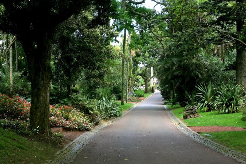 From São Miguel, Azores: Carvão Cave & Gardens Tour