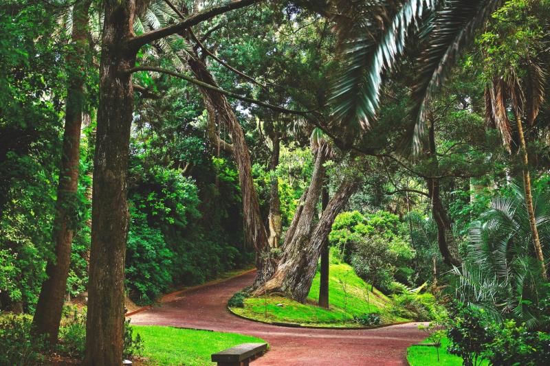 From São Miguel, Azores: Carvão Cave & Gardens Tour