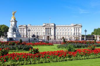 Buckingham Palace Tour and Afternoon Tea