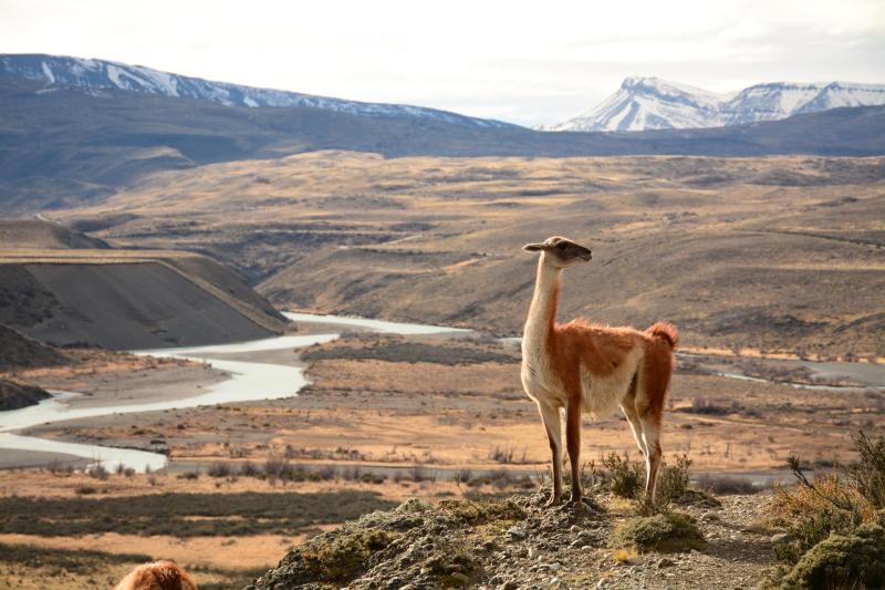 From Puerto Natales: Hiking Porteria Lago Sarmiento