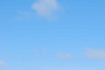 From Nha Trang: Hon Tam 1-Day Island Tour