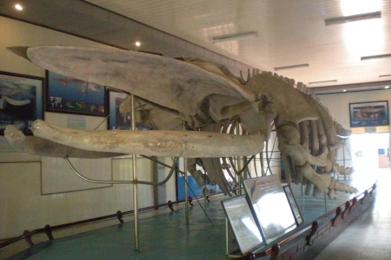 Nha Trang: Full Day Highlight Private City Tour