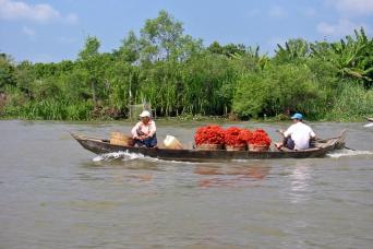 From Ho Chi Minh City: Mekong Delta & Cai Be Floating Market Tour with Cooking Demo Full Day