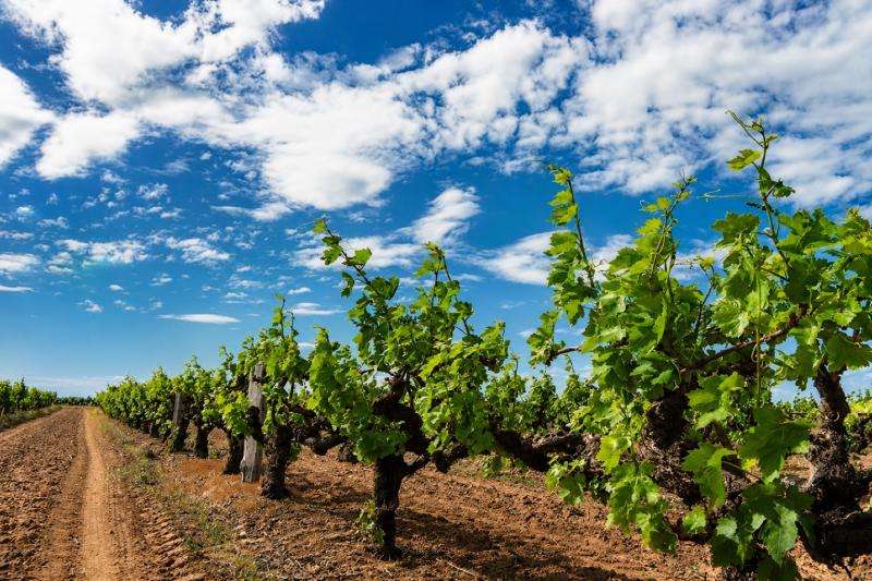 From Perth: Margaret River Food, Wine and Coastal Highlights Full-Day Tour