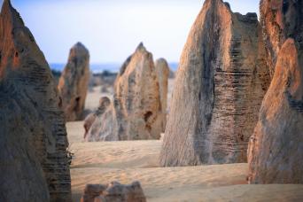 From Perth: Pinnacles, Yanchep and Swan Valley Full Day Tour