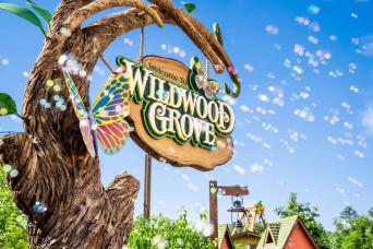 From Nashville: Dollywood Day Trip Full Day